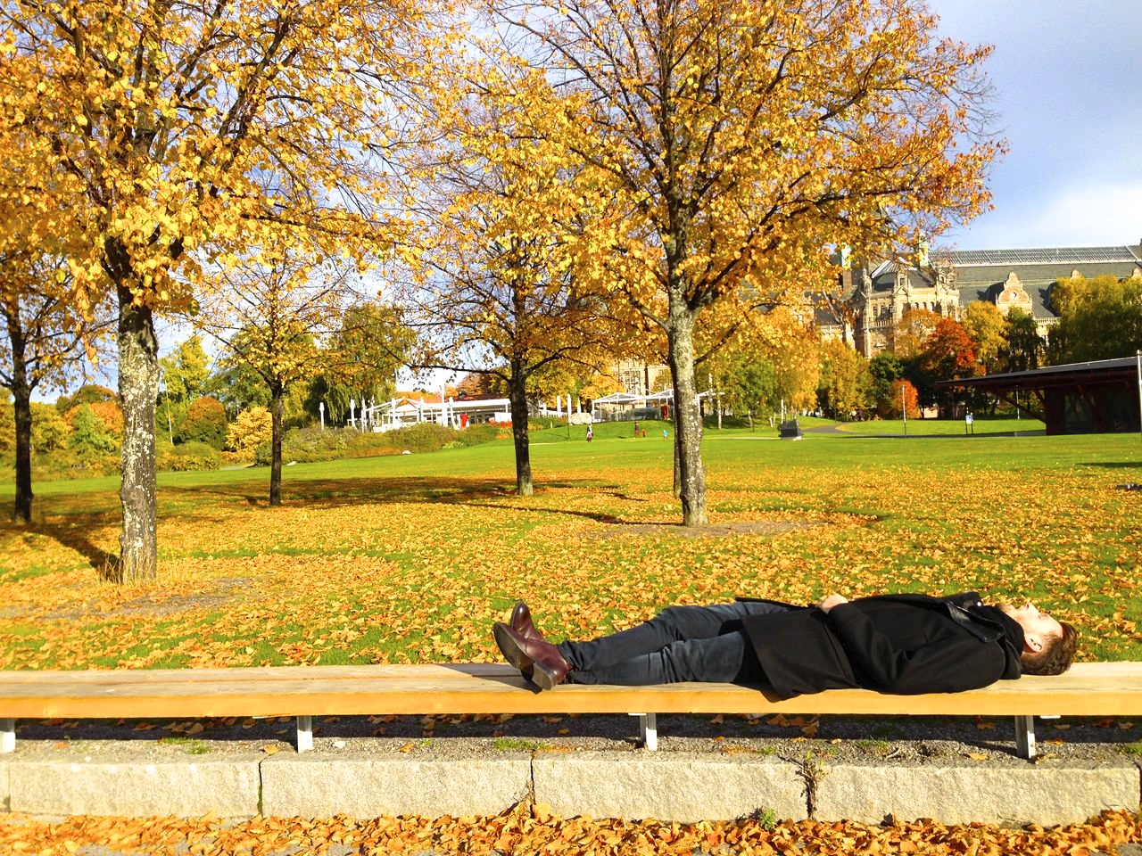 enjoying fall in stockholm.